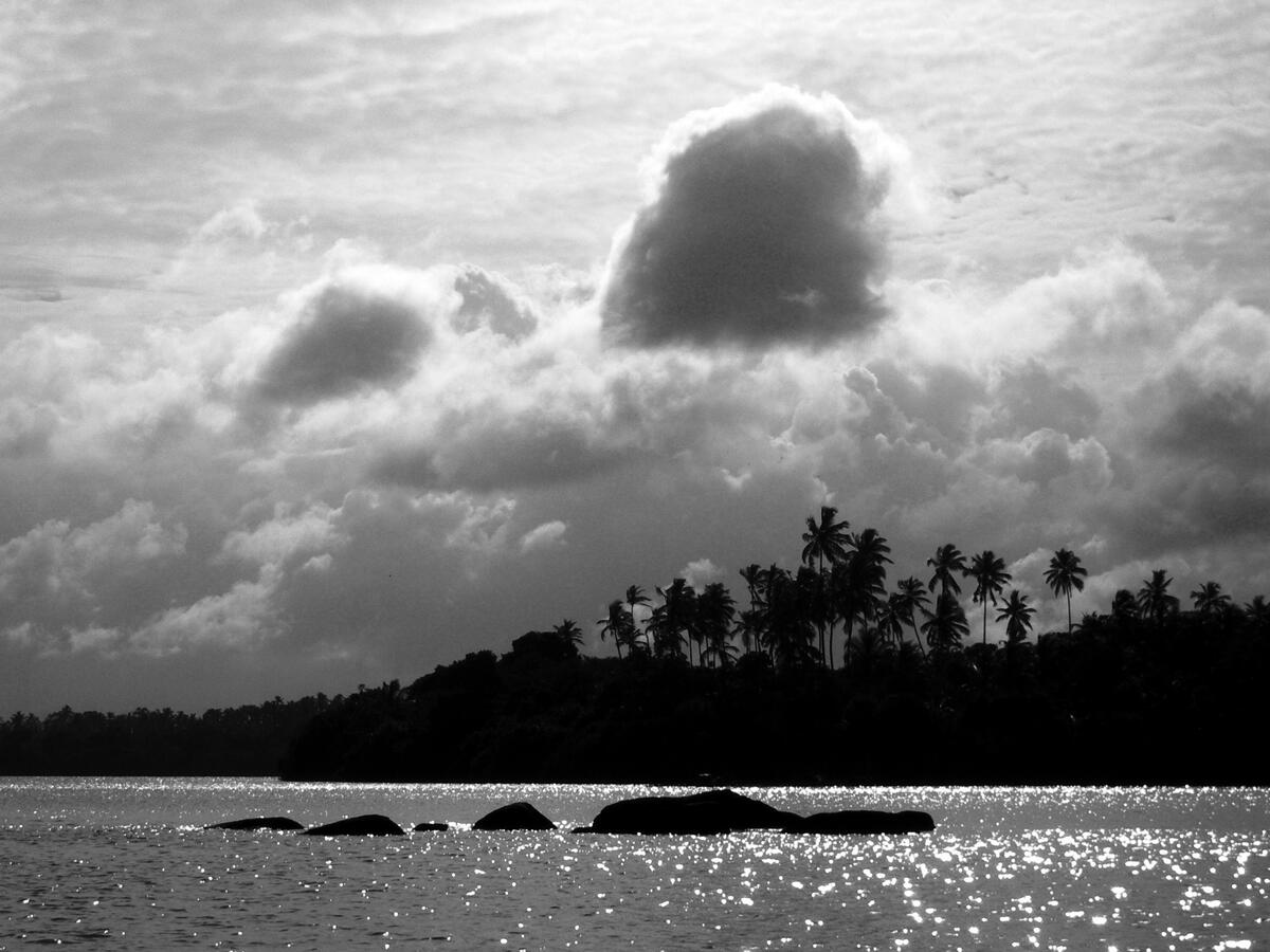 "Relief" - Madu River, Sri Lanka