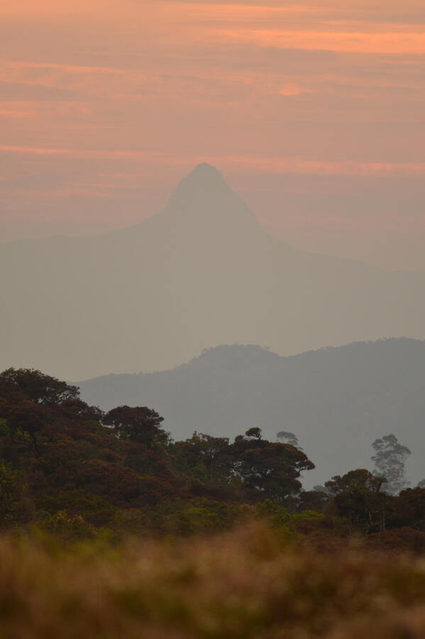 "A Horton x Adam Sunset" - Horton Plains, Sri Lanka