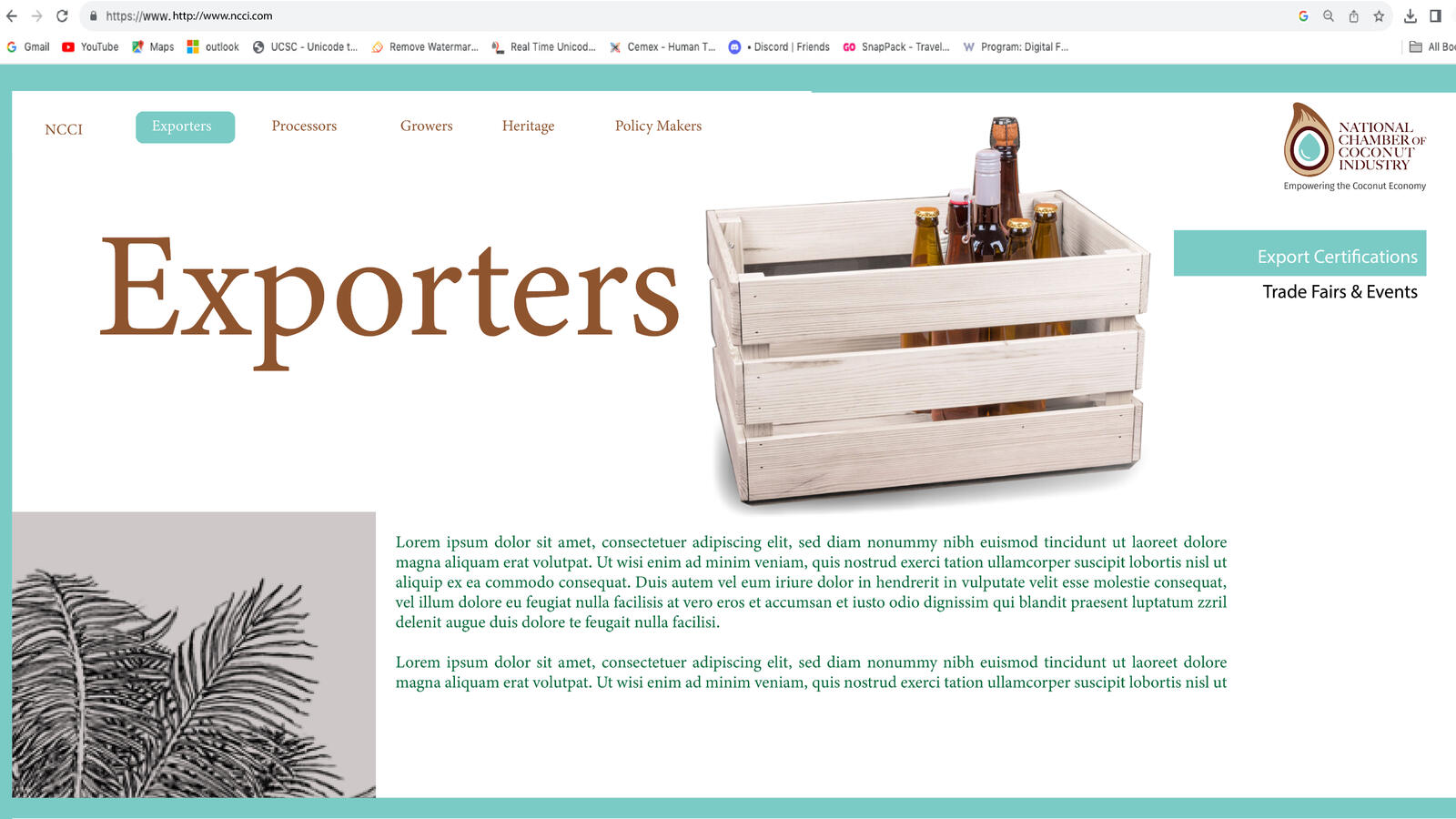 National Chamber of Coconut Industry - Visual Identity and Launch Campaign Pitch - Website UI Concept and Illustration